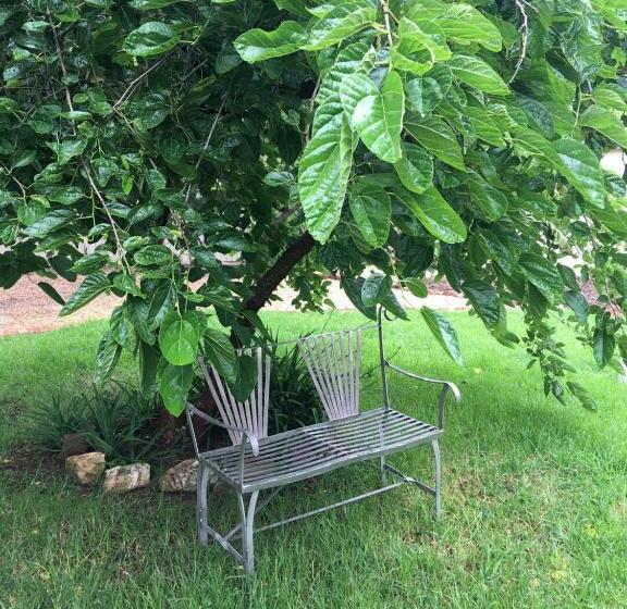 Amy S House Bed & Breakfast