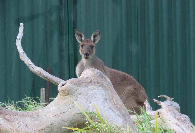 مبيت وإفطار Lush Pastures