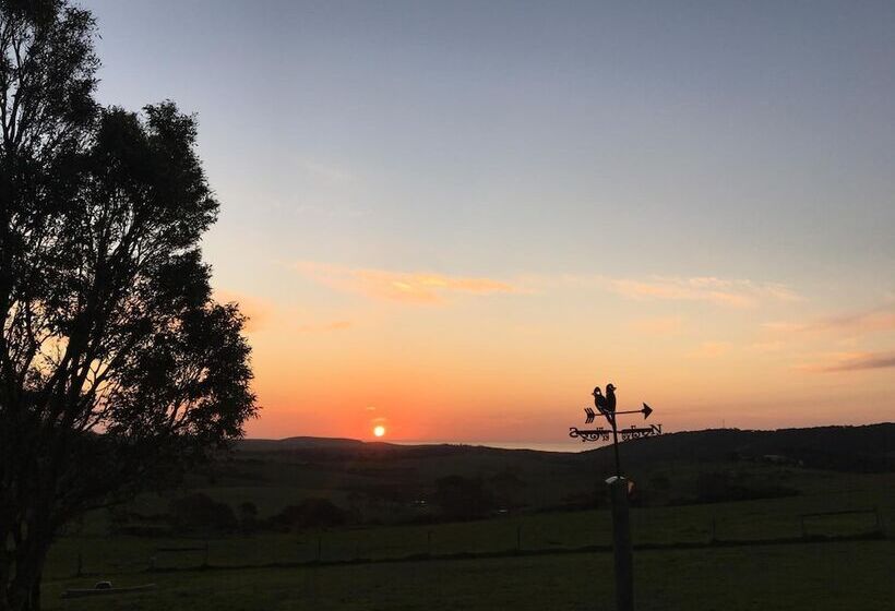 مبيت وإفطار Lush Pastures