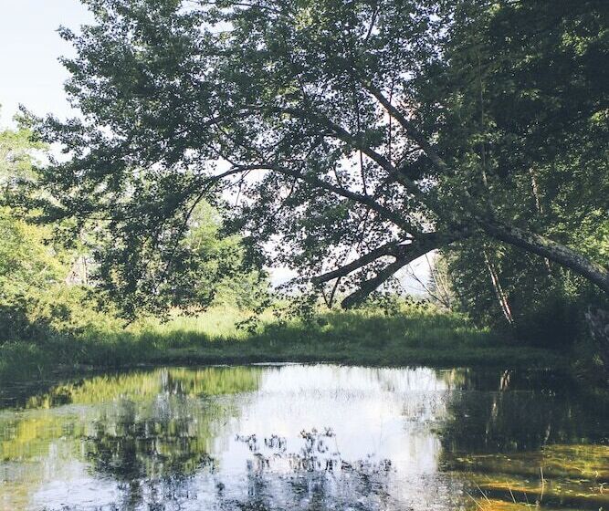 مبيت وإفطار Old Saco Inn