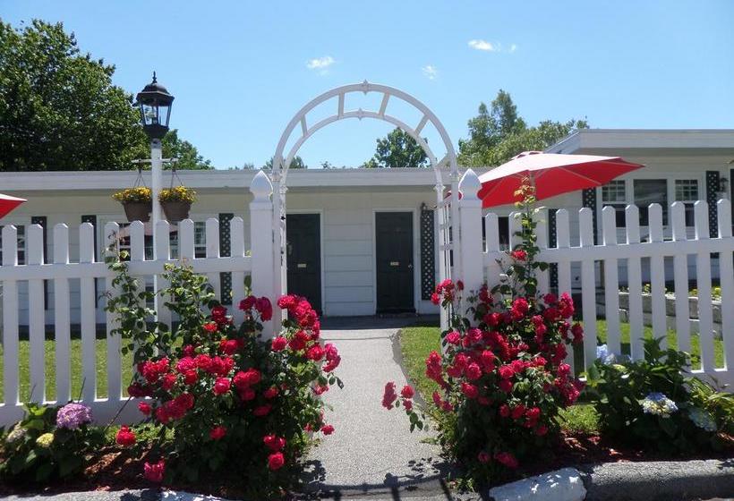 Claddagh Motel & Suites