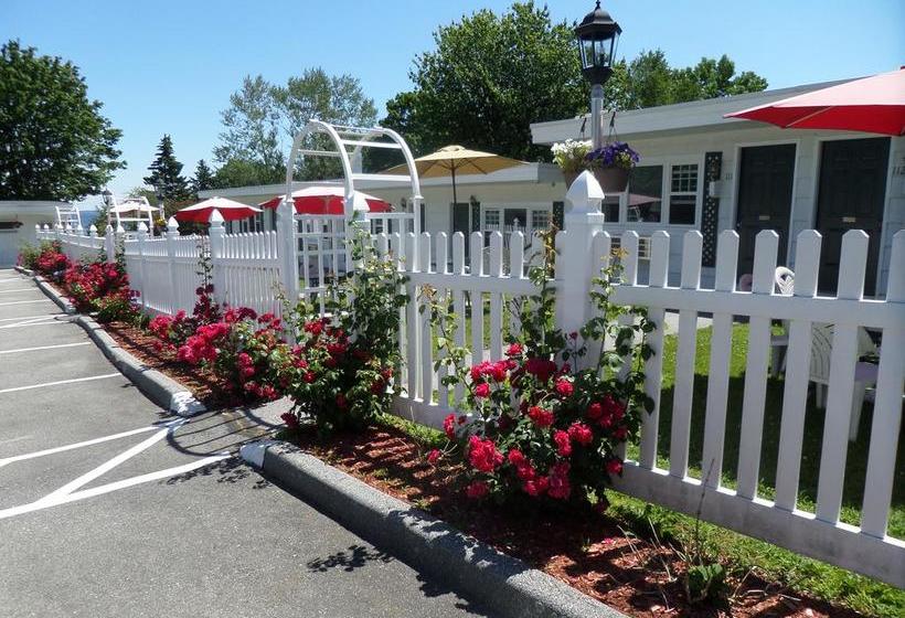 Claddagh Motel & Suites