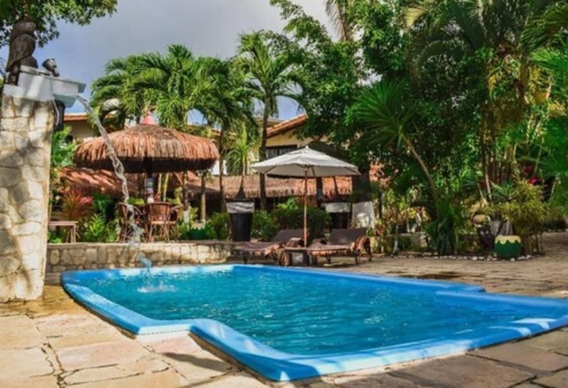 فندق فئة نجمة واحدة Pousada Recanto Da Coruja