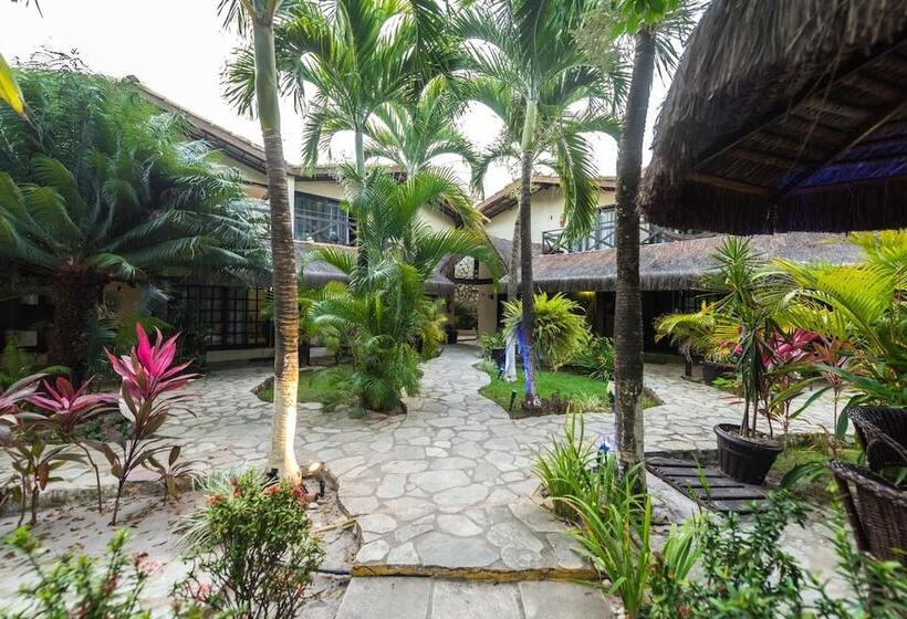 فندق فئة نجمة واحدة Pousada Recanto Da Coruja