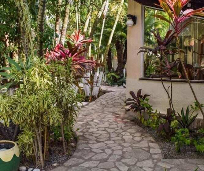 فندق فئة نجمة واحدة Pousada Recanto Da Coruja