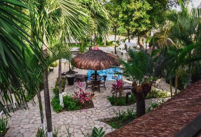 فندق فئة نجمة واحدة Pousada Recanto Da Coruja