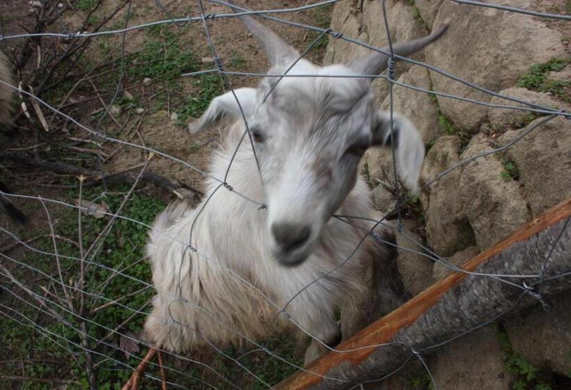 בית מלון כפרי Agriturismo Ghiritina