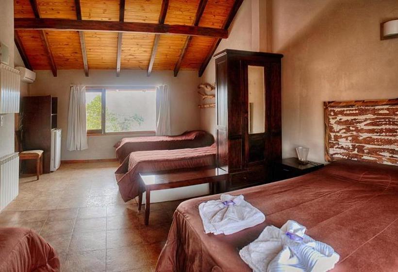 Отель Apartamentos Andrea