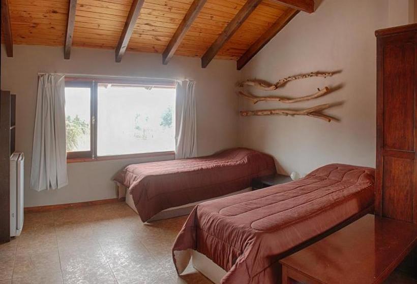 Отель Apartamentos Andrea