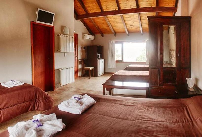 Отель Apartamentos Andrea