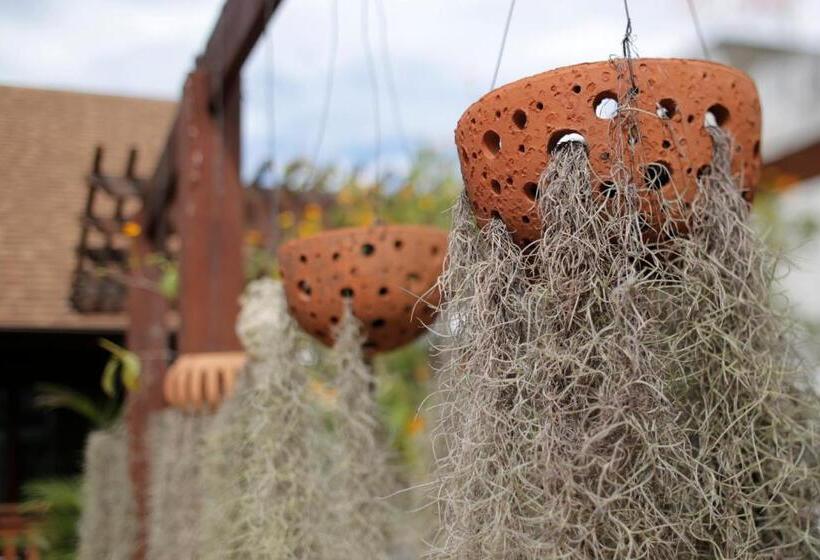 Отель Baan U Sabai Boutique House Sha Plus