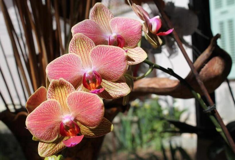 فندق Chambres D Hôtes Le Clos Des Oliviers