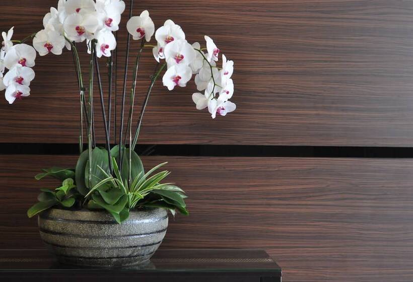 בית מלון כפרי Dreamtel Kota Kinabalu