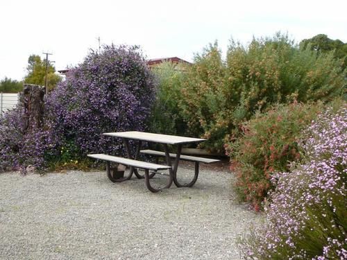 호텔 Gladstone Caravan Park  South Australia