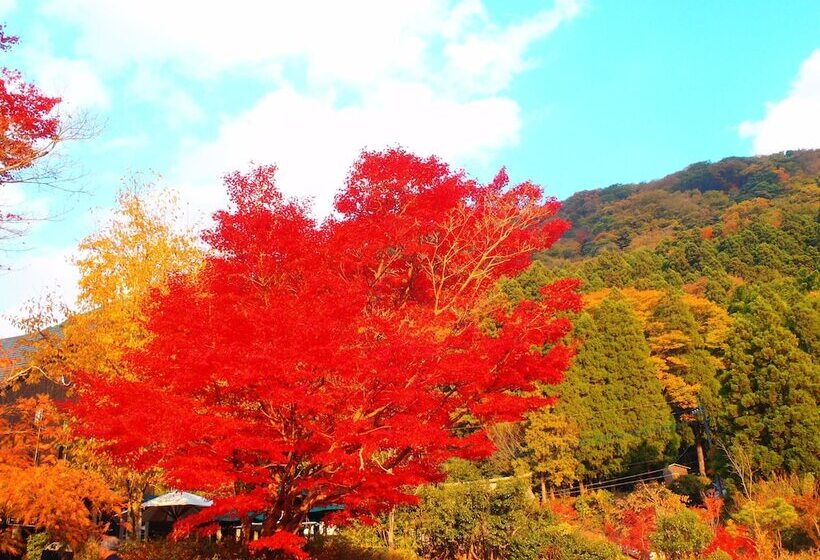 酒店 Homey Inn Enya