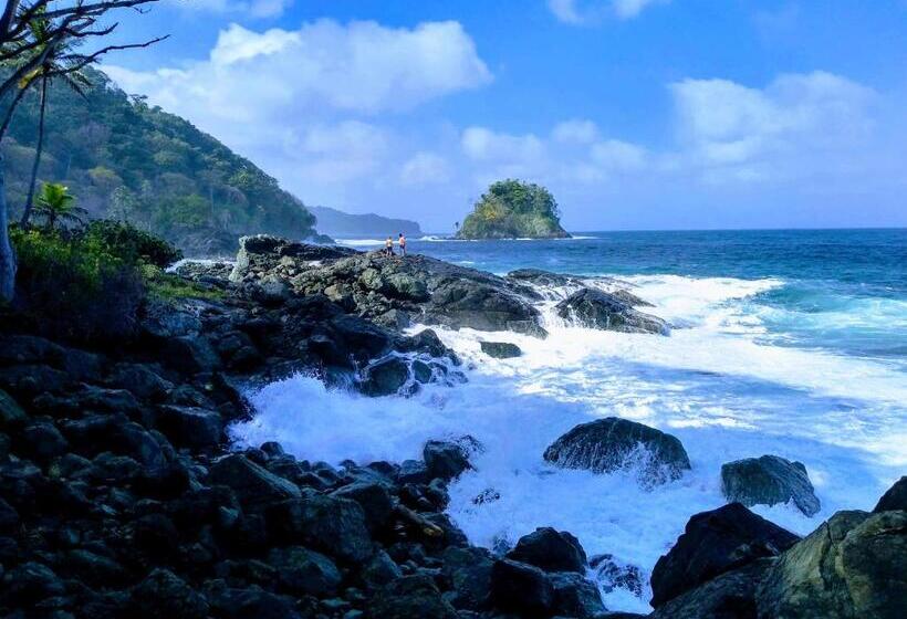 هتل Hostal Capurgana