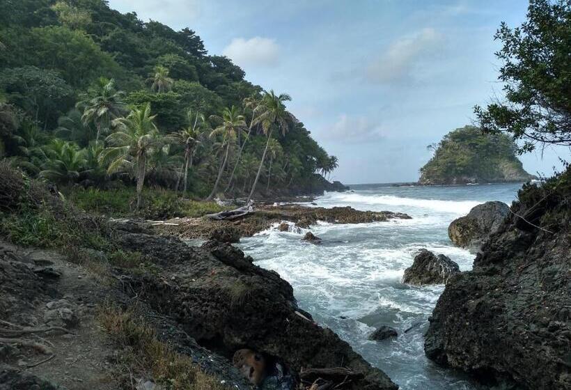 هتل Hostal Capurgana