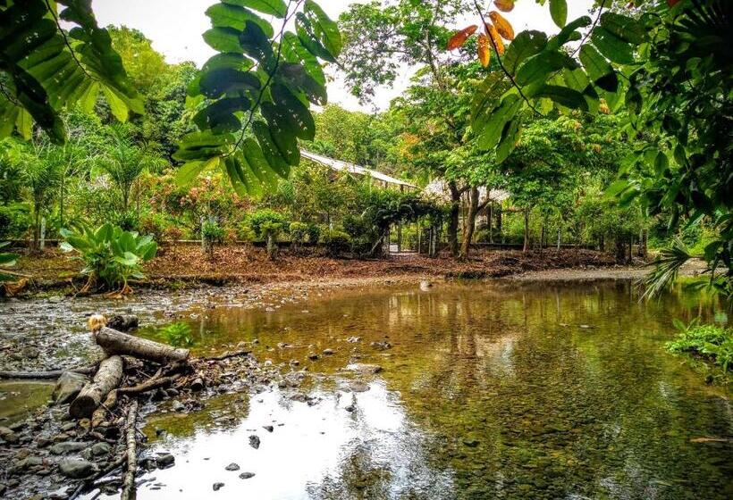 فندق Hostal Capurgana