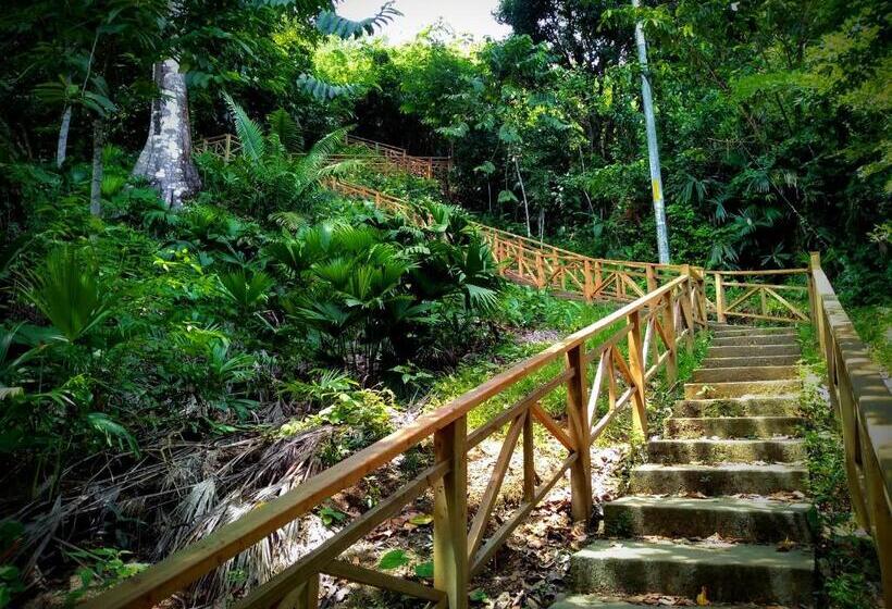 هتل Hostal Capurgana