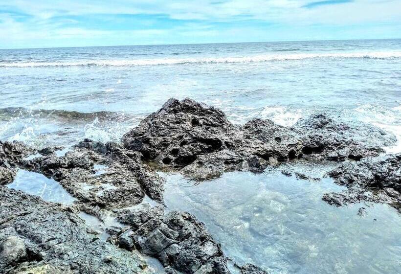 فندق Hostal Capurgana