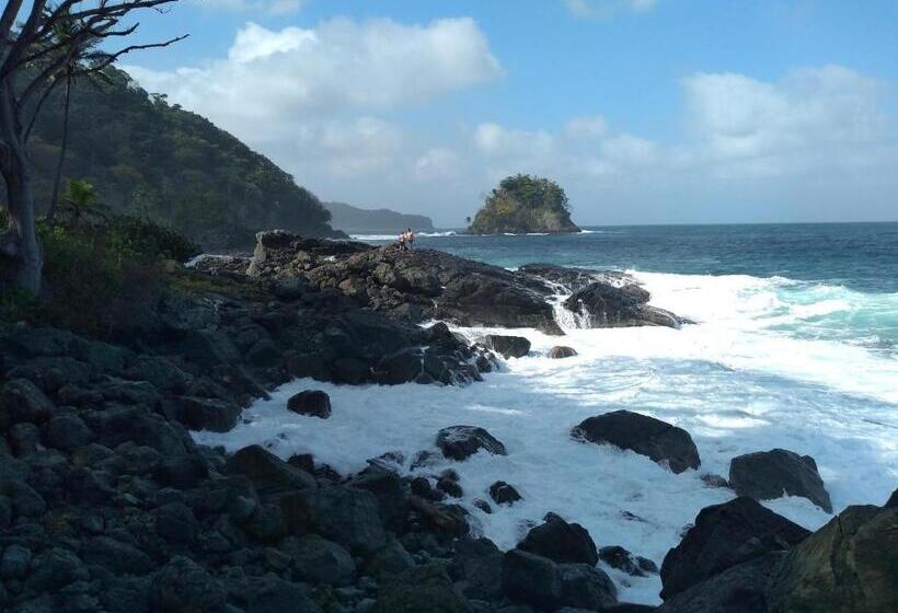 فندق Hostal Capurgana