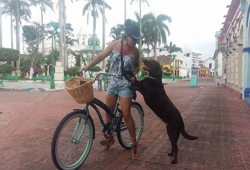 فندق Hostal El Patio