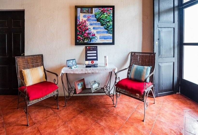 فندق Hostal El Patio