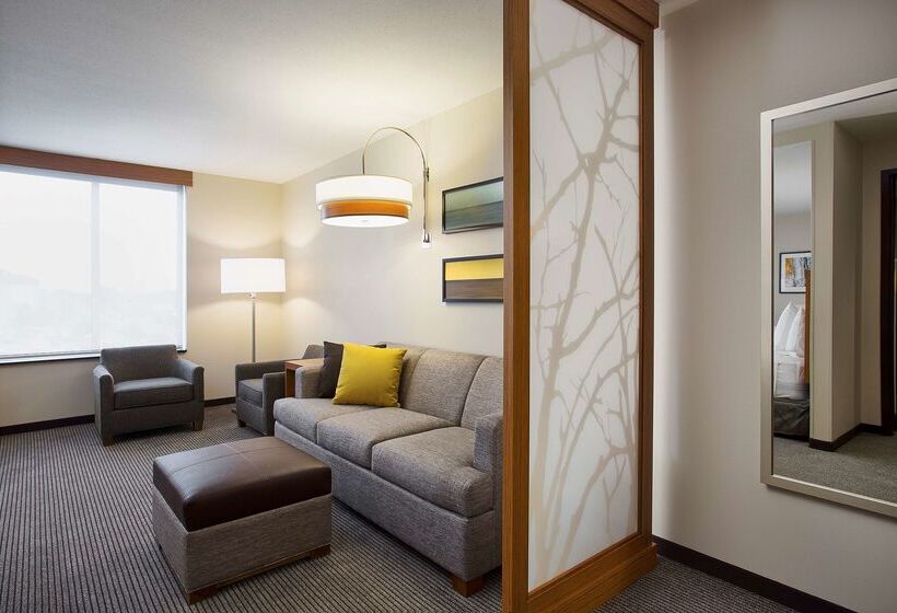 Отель Hyatt Place Chicago Midway Airport