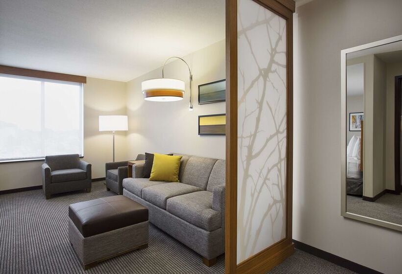 Отель Hyatt Place Chicago Midway Airport