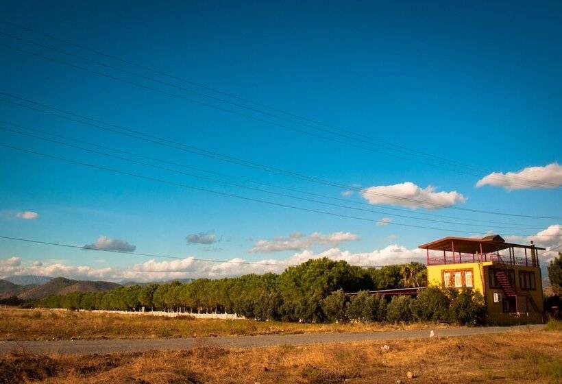 هتل Koru Beach Club