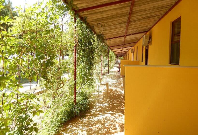 هتل Koru Beach Club