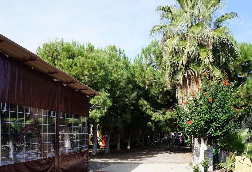 هتل Koru Beach Club