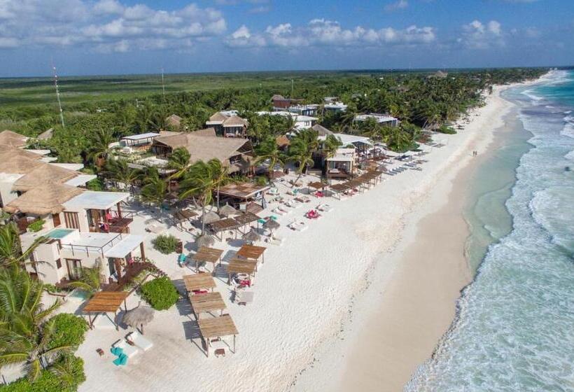 בית מלון כפרי La Zebra Boutique