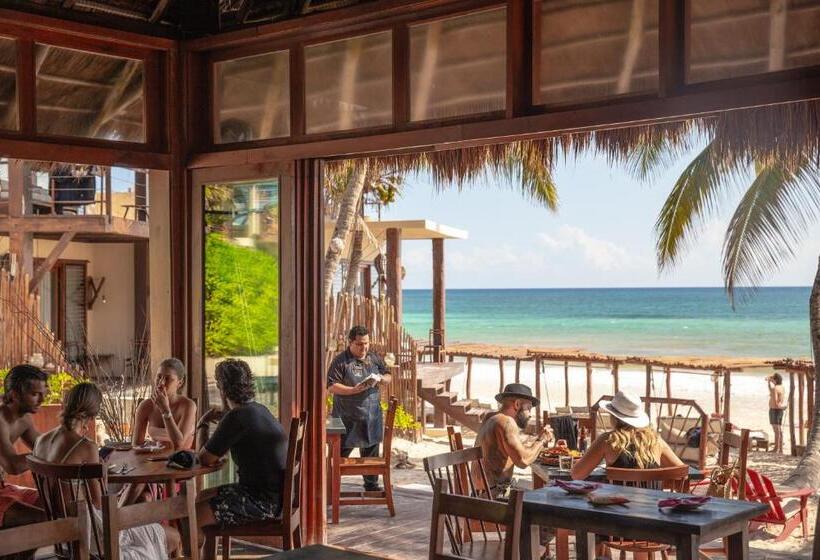 בית מלון כפרי La Zebra Boutique