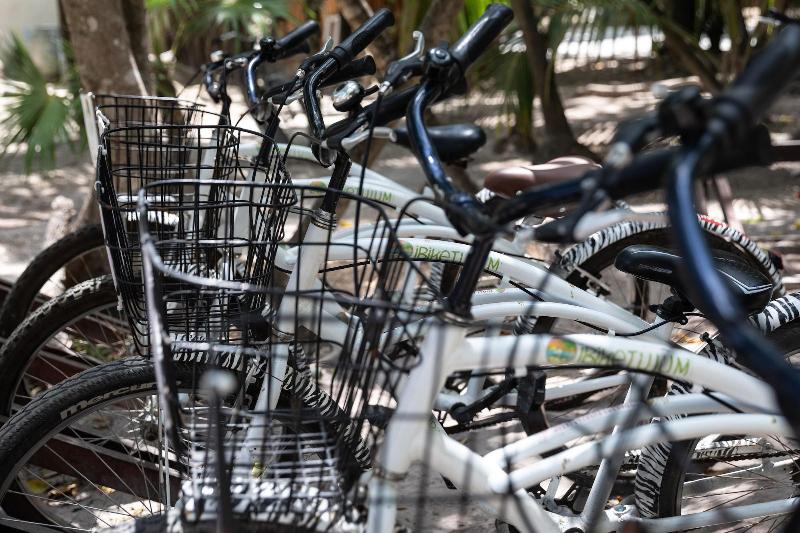 בית מלון כפרי La Zebra Boutique