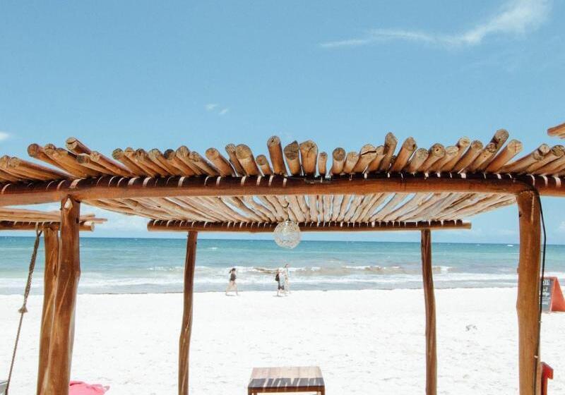 בית מלון כפרי La Zebra Boutique