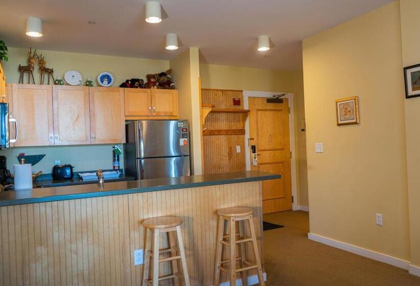 בית מלון כפרי Long Trail House Condominiums At Stratton Mountain Resort