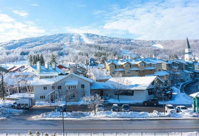 בית מלון כפרי Long Trail House Condominiums At Stratton Mountain Resort