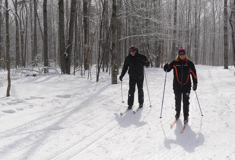 בית מלון כפרי Long Trail House Condominiums At Stratton Mountain Resort