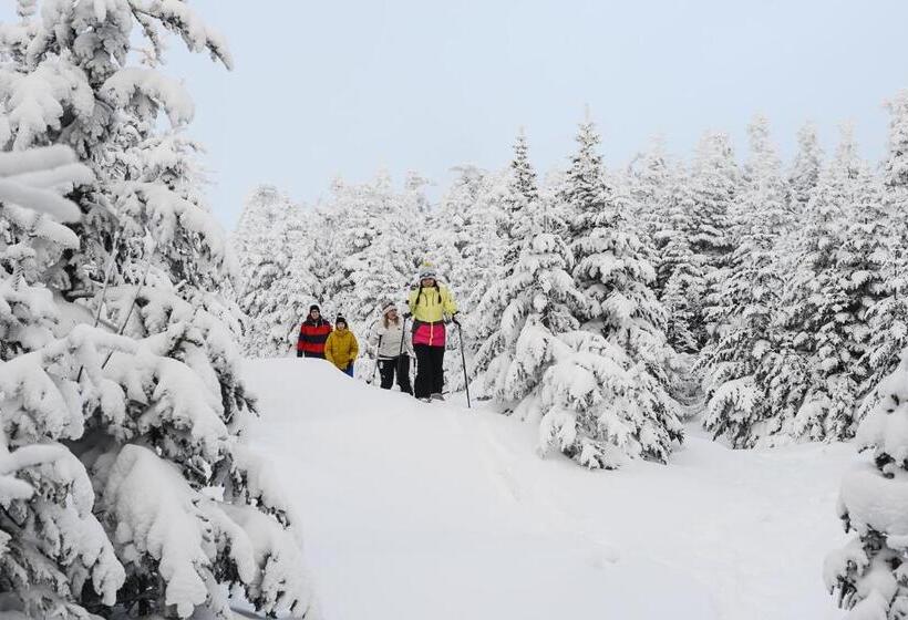 فندق Long Trail House Condominiums At Stratton Mountain Resort