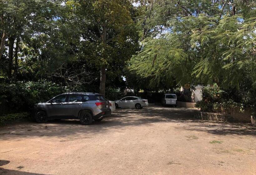 هتل Posada San Juan