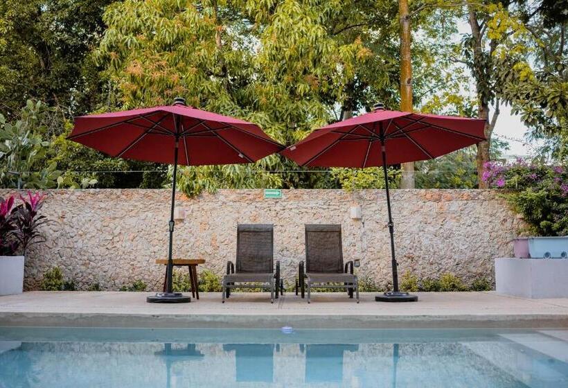 هتل Posada San Juan