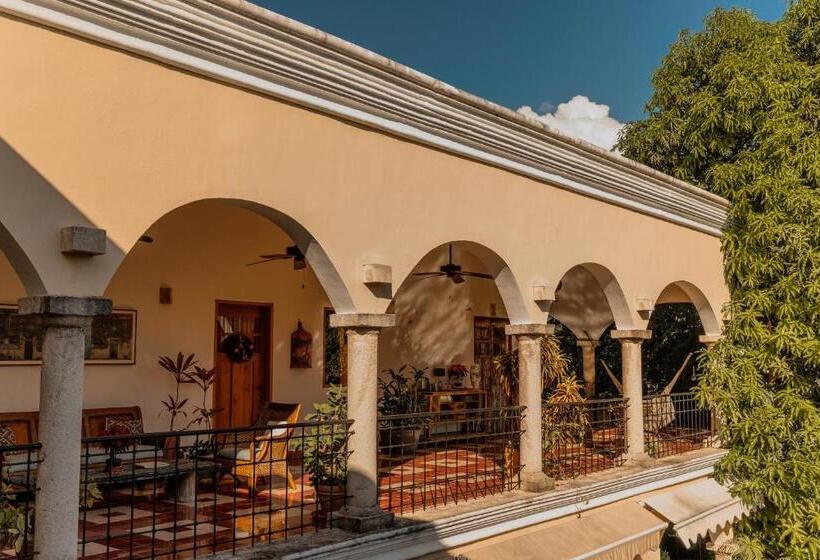 هتل Posada San Juan