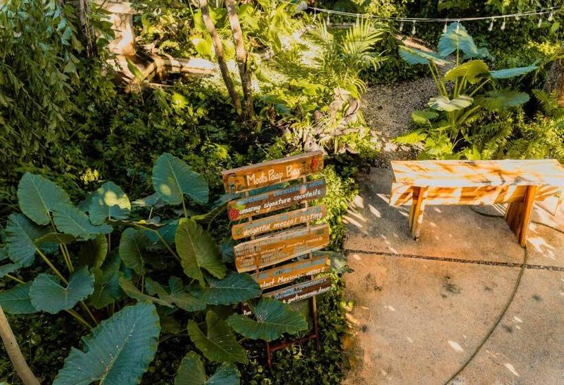 هتل Posada San Juan