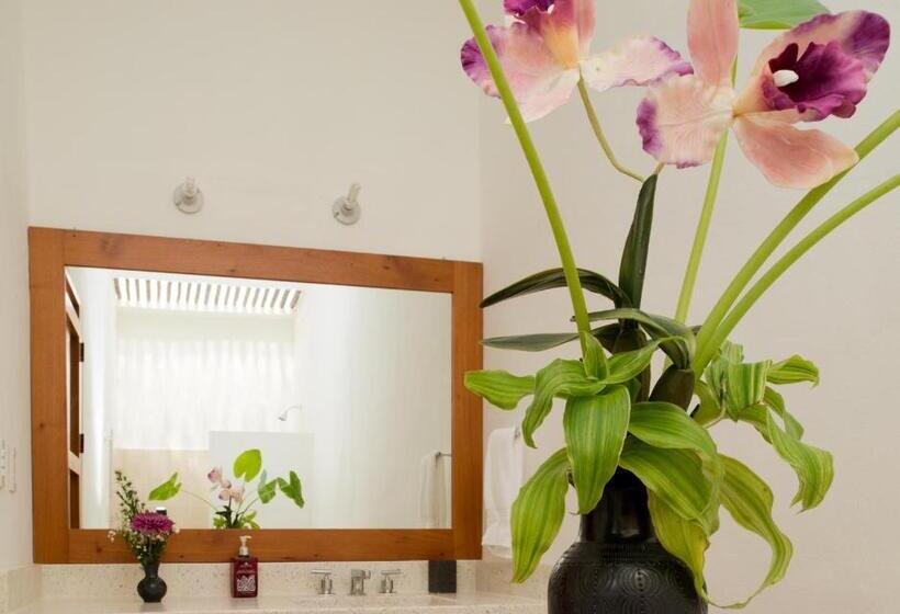 هتل Posada San Juan