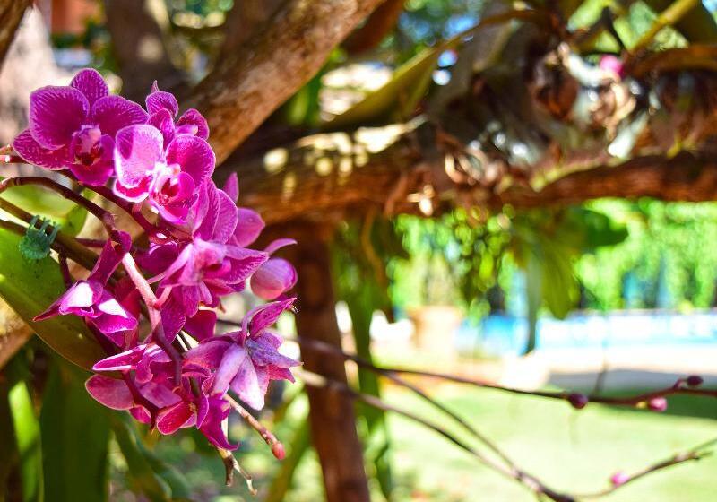 호텔 Pousada Terra Madre