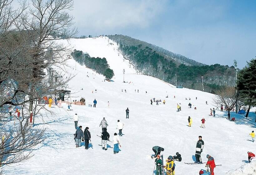 호텔 Premium Green Hills