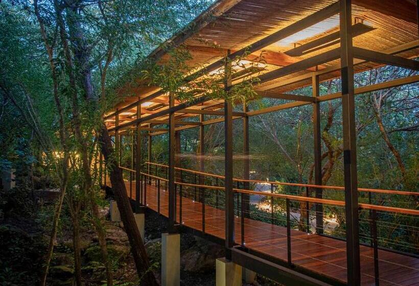 Rio Perdido Hotel & Thermal River