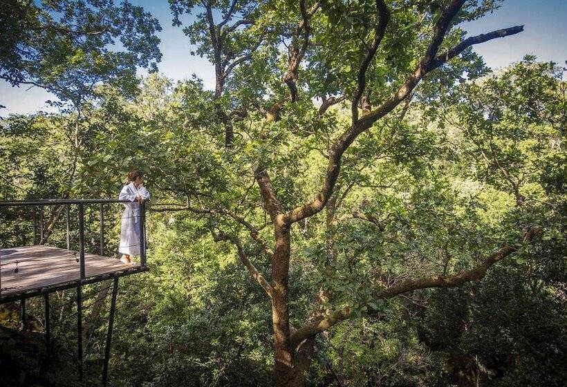 Rio Perdido Hotel & Thermal River