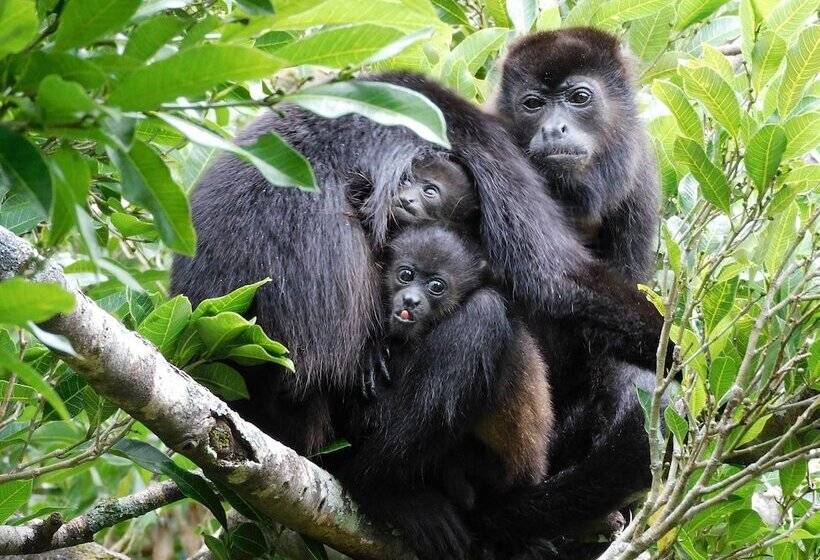 Rio Perdido Hotel & Thermal River